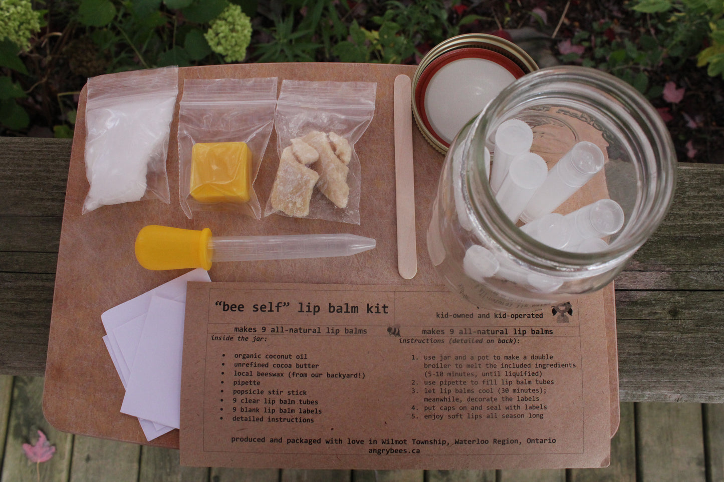 DIY Lip Balm Kit - Angry Bees