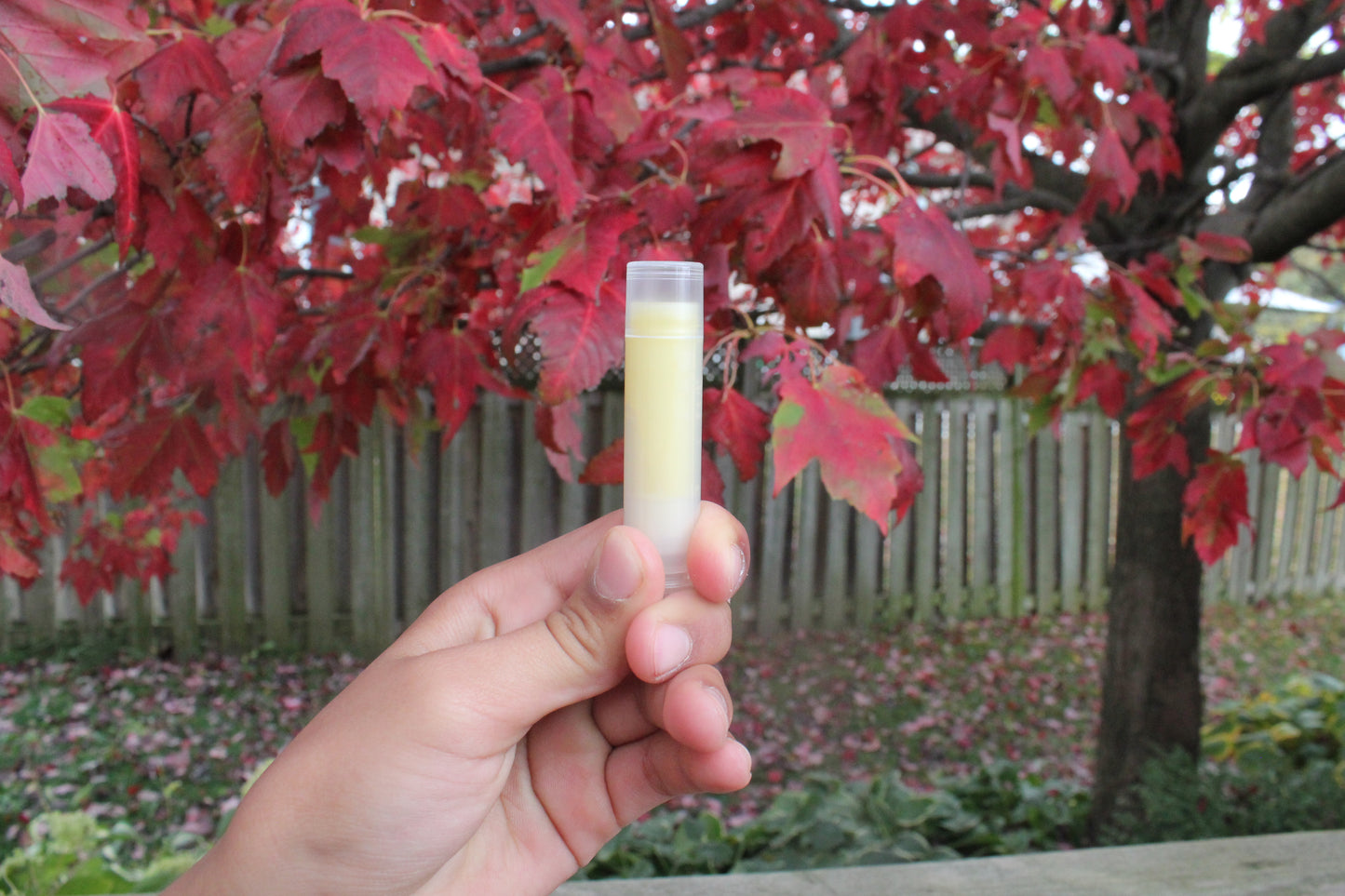 DIY Lip Balm Kit - Angry Bees