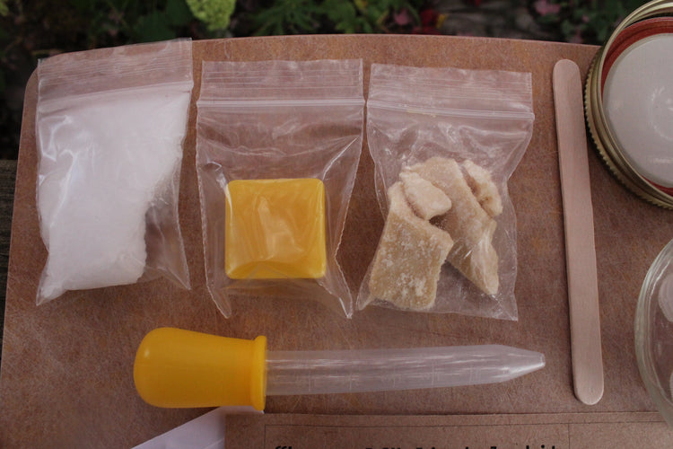 DIY Lip Balm Kit - Angry Bees