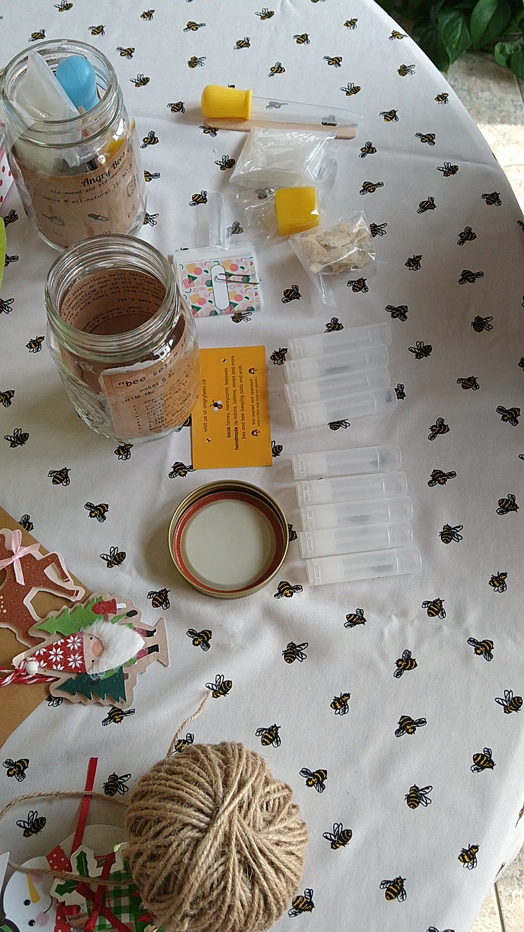 DIY Lip Balm Kit